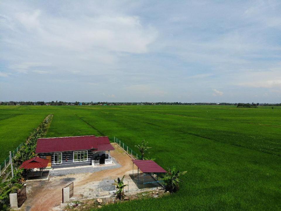 De Dangau Homestay *
